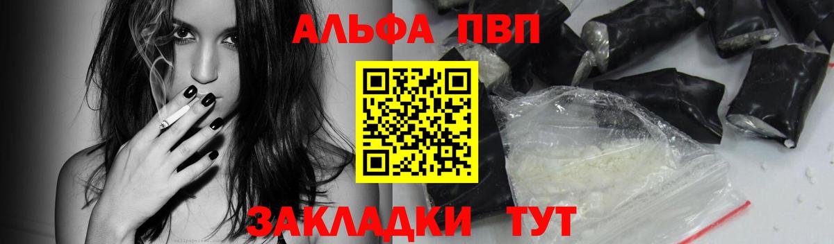МЕФ Новозыбков
