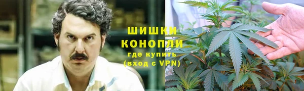 гидра Алзамай