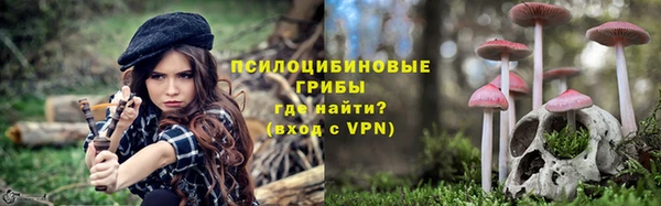 гидра Алзамай