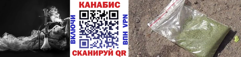 МАРИХУАНА план  сколько стоит  Новозыбков 